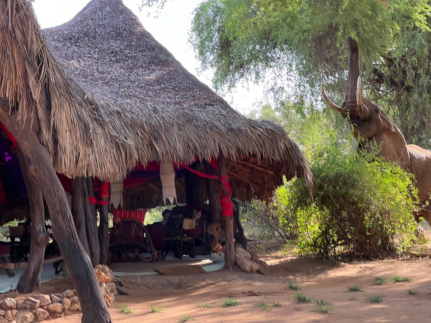Elephant Watch Camp & Safaris(2026) - Samburu hotel view 4